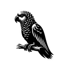 Rainforest Parrot Vector Design