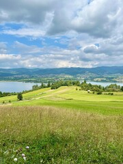 Panoramic summer view of Czorsztynskie lake with green fields and cloudy sky. Concept: eco tourism, scenic travel, outdoor exploration.	