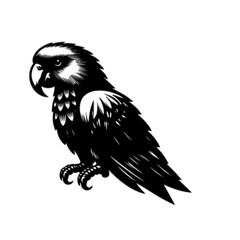 Macaw Parrot Vector Illustration