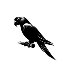 Sitting Parrot Vector Illustration