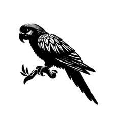 Talking Parrot Vector Design