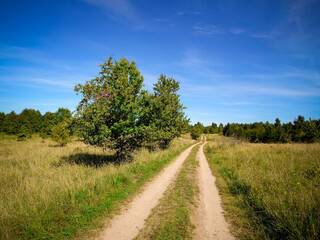 road in the field © P.Ch. Fotografia