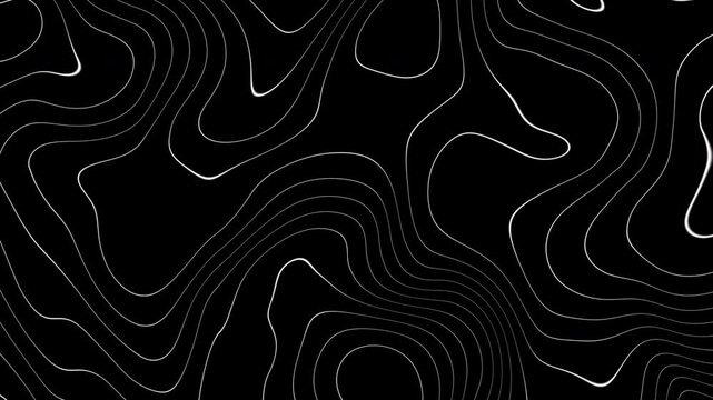 Dynamic and stylish abstract animation featuring flowing white lines against a black background. Black and white lines. Seamless loop animation