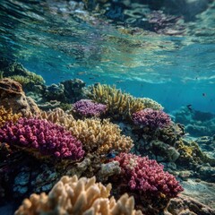 Obraz premium Vibrant coral reefs showcasing competition for limited underwater space.