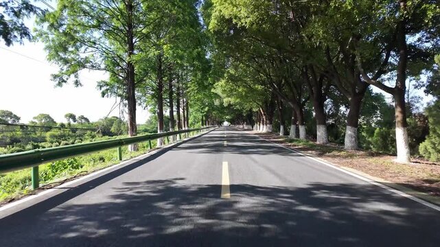 drving through road in countryside,pov