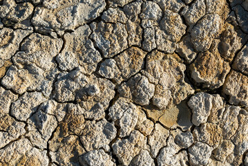 Cracked soil close up due the serious heatwaves in Transylvania , Romania.