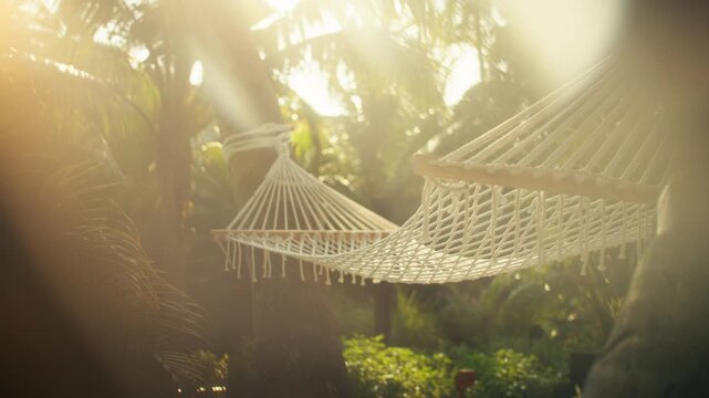 Serene view of empty hammocks at a beautiful tropical island resort in the morning. Golden sun rays pierce through palm trees, creating a warm glow and natural lens flare.