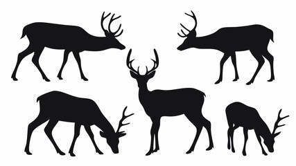 Silhouette depiction of five deer in various poses including standing and grazing on a white background | editable eps vectors