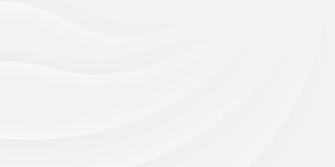 Minimal abstract vector background with smooth white flowing waves and soft gradient. Elegant and modern design for web, business, and presentations.