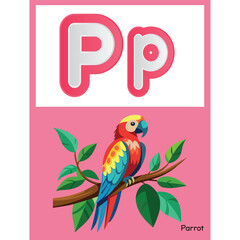 Classroom Alphabets for kids Parrot Pp