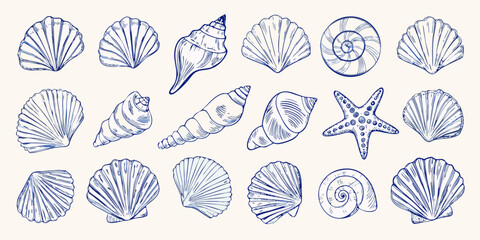Collection of hand drawn blue seashells and a starfish on a light background