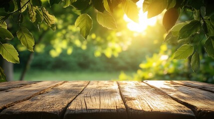 A serene scene featuring sunlight filtering through lush green leaves, casting a warm glow on a rustic wooden surface.