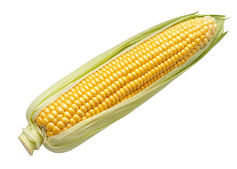 corn isolated on white background
