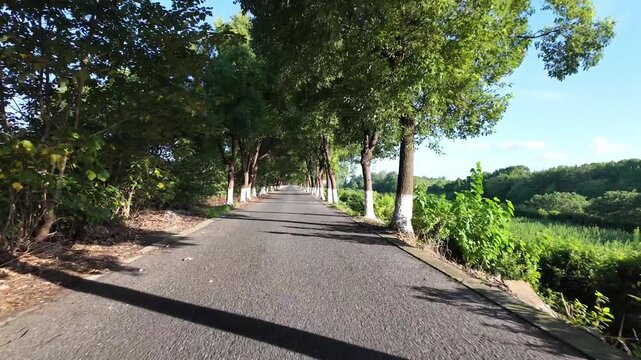 drving through road in countryside,pov