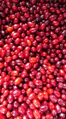 Cornelian cherry harvest. Beautiful red tones. Jam, juice or liquor