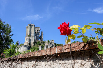Le château de Lavardin en été.