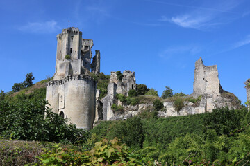 Le château de Lavardin en été.