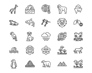 In The Wild Line Vector Icons © Icons Studio