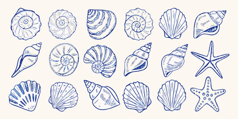 Collection of hand drawn blue line art seashells and starfish on a light background