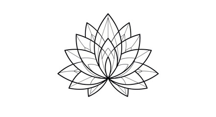 Stylized Black and White Line Art Lotus Flower Illustration.