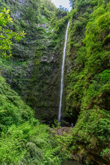 The Caldeirao Verde waterfall on the PR9 hiking trail on the island of Madeira