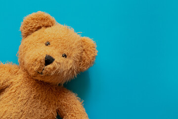 Brown baby teddy bear lying on bright blue background and empty space for text as banner