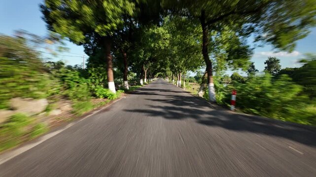 drving through road in countryside,pov