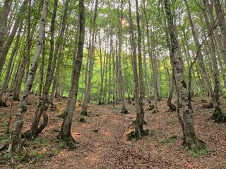Circo de Gavarnie - Francia - Pirineos 2025