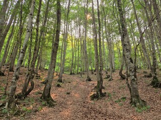 Circo de Gavarnie - Francia - Pirineos 2025