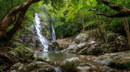 Fototapeta premium view from the mountain waterfall in the forest mountains wallpaper