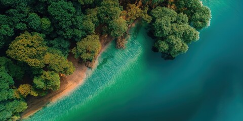 Emerald Coastline: A stunning aerial view showcases the vivid turquoise water gracefully meeting the lush, green canopy of the coastal forest, a tranquil moment of natural harmony.