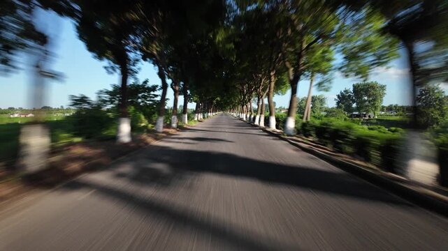 drving through road in countryside,pov