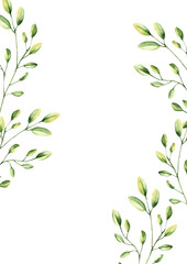 Green simple spring branch with leaves postcard. Watercolor twig. Hand drawn wildflower illustration isolated on background, transparent png. Botanical and wedding illustration. Baby shower design