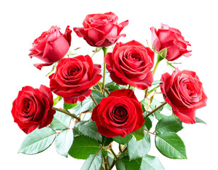 Obraz premium Angled Arrangement of Red Roses with Leaves and Soft Highlights PNG