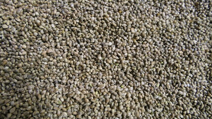 Various particles in close-up. Hemp, grain, and corn