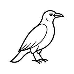 Outline of Crow Side View Silhouette Vector on White