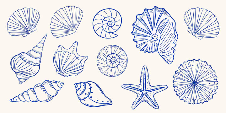 Collection of hand drawn blue line art seashells and starfish on a light background