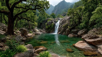 A serene waterfall cascades into a clear turquoise pool surrounded by lush green forest and rocky terrain