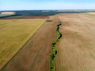 Aerial view landscape with wheat fields and forest on sunny day