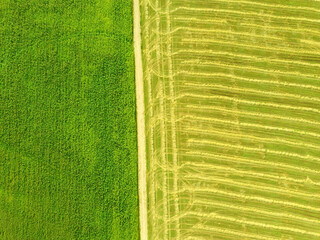 Aerial top view landscape with green and yellow fields with road on sunny day