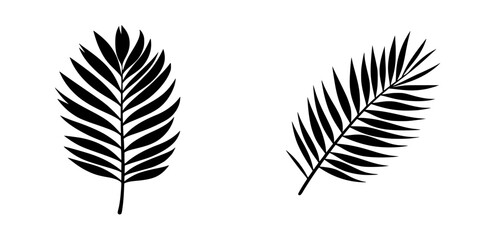 Fototapeta premium Minimalist black-and-white vector illustration of palm leaves showcasing elegant silhouettes in a straightforward design