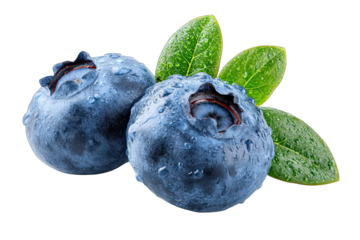 blueberry isolated on white background antioxidant berry