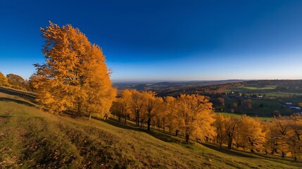 Naklejka premium Autumn Hillside with Vibrant Yellow Trees, scenic countryside view