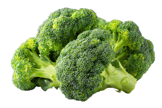 broccoli isolated on white background healthy vegetable concept