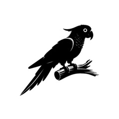Parrot 24 Vector Illustration – Exotic Vibrant Tropical Bird Design