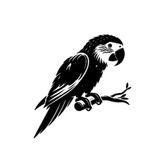 Parrot 28 Vector Illustration – Vibrant Exotic Jungle Bird Artwork