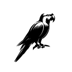 Parrot 31 Vector Illustration – Vibrant Exotic Tropical Bird Design