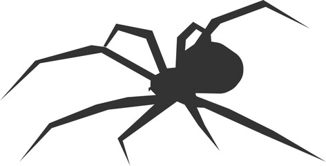 Spider walking toward viewer