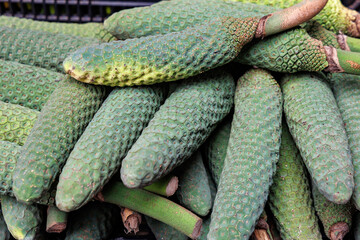 Monstera deliciosa fruits for sale on Mercado dos Lavradores Farmers Market in Funchal, Madeira, Portugal
