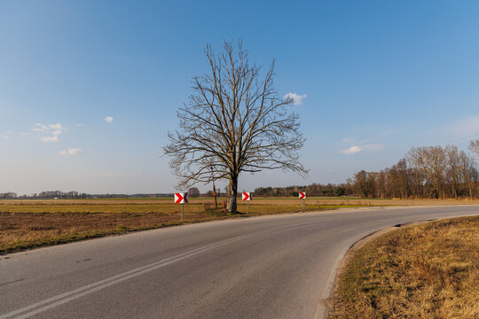 Trees and wayside cross on a road bend in a small village in Masovia region of Poland